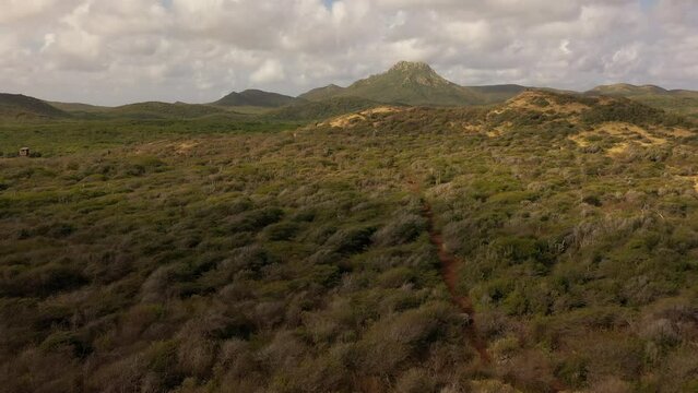 FPV aerial view over an island in the Caribbean