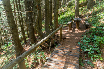 Rest area in Pelister national park, North Macedonia