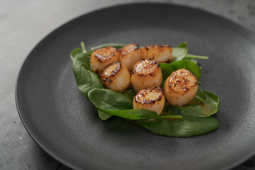 Seared scallops on pile of spinach on black plate closeup