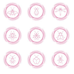 insect vector icon set with white background and pink lines