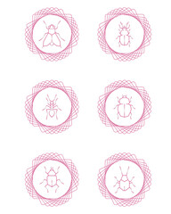 insect vector icon set with white background and pink lines