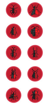 insect vector icon set with red color background