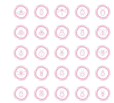 insect vector icon set with white background and pink lines