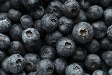 Closeup shot of fresh organic blueberries