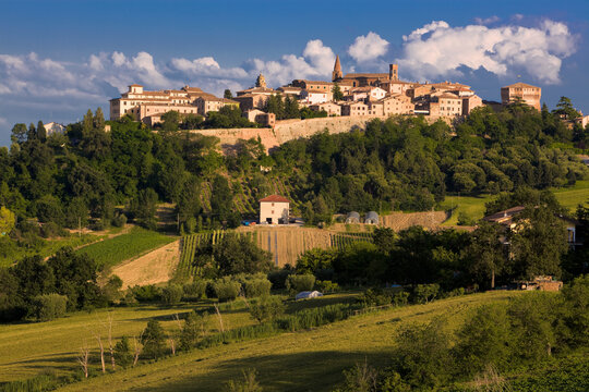 Mondavio, PU. Veduta della cittadina nel contesto rurale estivo.