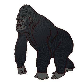 Red book mountain gorilla cartoon vector character