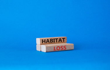 Habitat loss symbol. Wooden blocks with words Habitat loss. Beautiful blue background. Business and Habitat loss concept. Copy space.