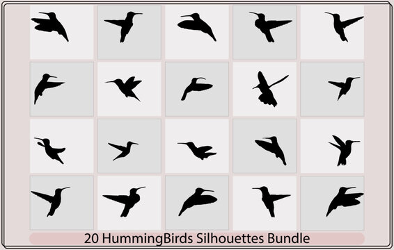 hummingbird silhouettes,humming bird silhouette.Humming Colibri Bird Icon Silhouette Illustration,Vector Collection of humming Bird Silhouettes