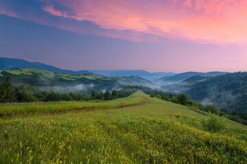 Sunset summer scenery in the Carpathian mountains, Ukraine.The high grass hill with wildflowers under the vibrant evening sky.