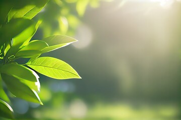 Obraz premium Green leaf nature for wallpaper and background, Yellow color with copy space using as background natural green plants landscape. Generative Ai.