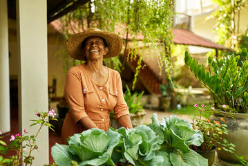 Senior Indian female farmer in straw hat in garden taking care of potted plants. Elderly Sri Lankan...