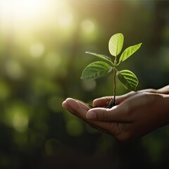 hand holding young plant with sunlight on green nature background. concept eco earth day. Generative Ai