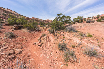 hiking the syncline loop trail in island in the sky district of canyonlands national park, utah, usa