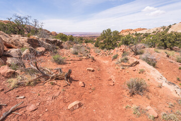 hiking the syncline loop trail in island in the sky district of canyonlands national park, utah, usa