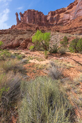 hiking the syncline loop trail in island in the sky district of canyonlands national park, utah, usa