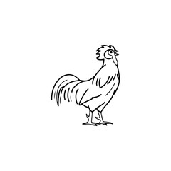 Fototapeta na wymiar vector illustration of chicken outline concept