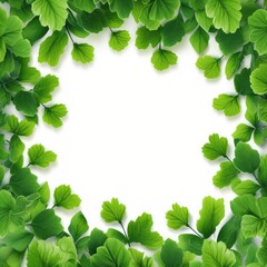 Fototapeta na wymiar green leaves frame