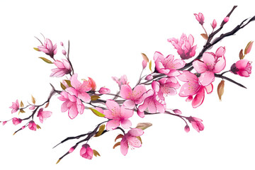Obraz na płótnie Canvas Chery blossom branch with sakura flower, nature, flowers & gardens, Generative AI