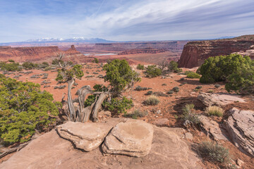 hiking the dead horse trail in dead horse point state park in utah, usa