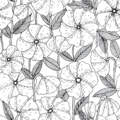 Botanical hand drawn seamless pattern made of ink pen poppy flowers with hatches. Simple minimalistic line art floral background in vintage style on white.