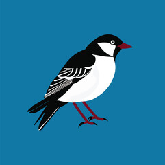 bird on a branch with berries