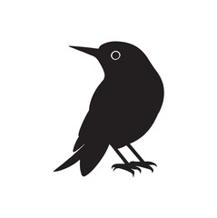 illustration of a bird