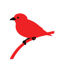 bird on a branch