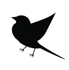 silhouette of a bird