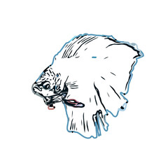 Betta fish color sketch with transparent background