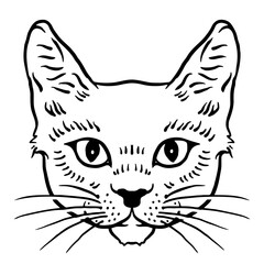 Vector Illustration Portrait of free colors