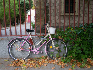 Fototapeta na wymiar Una bicicleta rosa aparcada en una valla junto a una enredadera de ambiente otoñal.