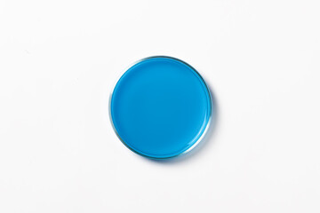Petri dish with blue, blue liquid. On a white, light background. View from above.