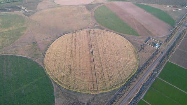 Aerial view of circular field in Argentina. Drone Video