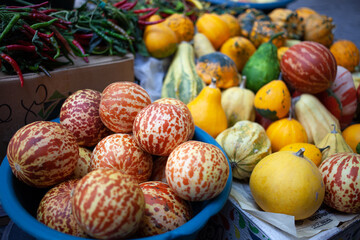 Melons, pumpkins and hot pepper on a farmers market. Queen Anne's Pocket Melon
