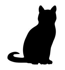 Cat vector illustration on white background