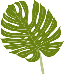 Simplicity monstera leaf freehand drawing