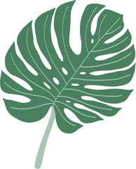 Fototapeta na wymiar Simplicity monstera leaf freehand drawing