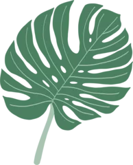 Foto op Canvas Simplicity monstera leaf freehand drawing © tanarch