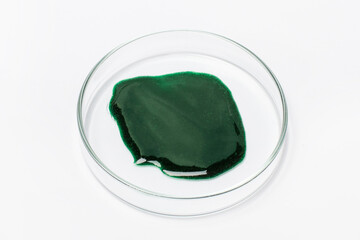 Spirulina gel in a petri dish on a white background.