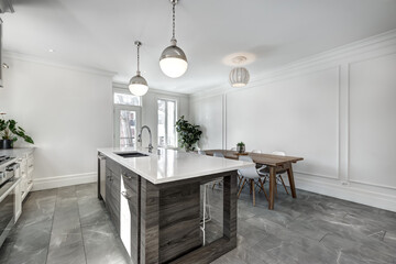 Renovated apartment in old house luxury style furnished and staged