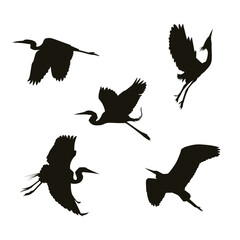 silhouettes of birds