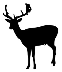 deer silhouette