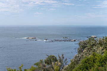 cliffs archipelago in False Bay waters near Partridge Point, Cape Point, Cape Town