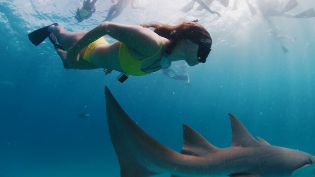 Woman free diving and snorkelling with the nurse shark in a tropical sea in the Maldives