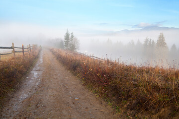 Autumn mountain landscape, road and a wooden fence, spruce trees in fog. Ukraine, Carpathians.