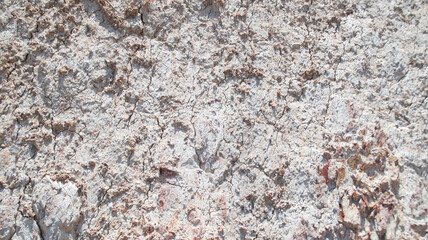 Hard dry cracked barren soil texture and pattern background.
