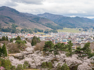 Fototapeta na wymiar Cherry-blossom trees (Sakura) and many kinds of flowers and Fukushima cityscape, in Fukushima, Tohoku area, Japan