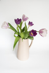 Tulpen / Frühlingsblumen