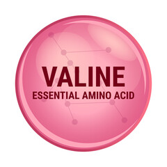 Vector icon of valine. Essential amino acid with the abbreviation Val. Red molecule isolated on a white background. V amino acid used in the biosynthesis of proteins. Food and nutrition concept.