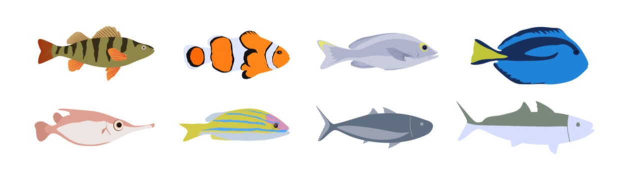 Collection of vector Cartoon fishes. Big set of fish isolated on white background. Flat Vector illustration
